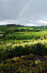 a view of a vineyard from a hillside at Casa Bice in Marcialla +23 photos