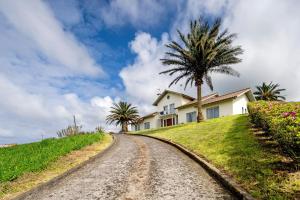 a house on a dirt road with palm trees at Casinha do Monte in Achadinha