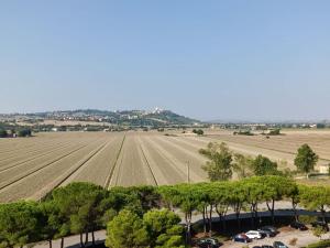 an aerial view of a field with trees in the foreground at Civico 316 con Piscina in Porto Recanati