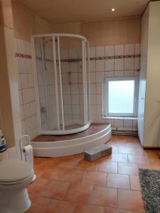 a bathroom with a shower and a toilet at Gemütliche Wohnung Buchholz i d N in Buchholz in der Nordheide +17 photos