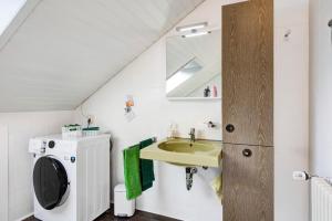 a bathroom with a sink and a washing machine at Ferienwohnung Haus Waldfee in Sulzburg +25 photos