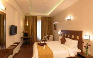 班加羅爾的住宿－藍色花瓣商務酒店，酒店客房,配有床和电视