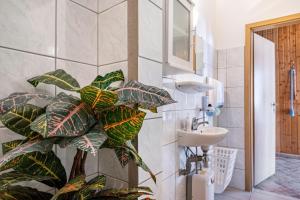 a bathroom with a plant next to a sink at Ferienhaus Nestwärme in Calau
