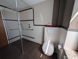 a bathroom with a toilet and a glass shower at Das Spatzennest in Riol +16 photos
