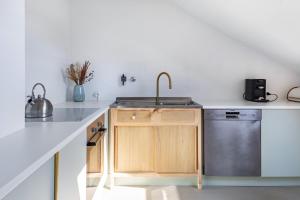 a kitchen with a sink and a dishwasher at Urlaubsapartment Südsicht in Ihringen +16 photos