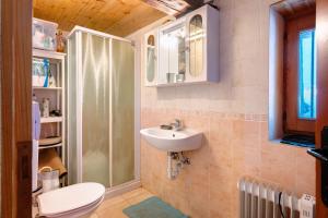 a bathroom with a shower and a toilet and a sink at Chalet Tomidicarta in Trasquera +30 photos