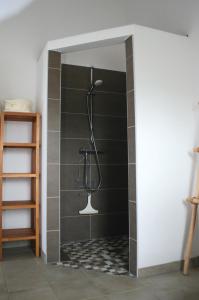 a shower with a shower head in a bathroom at Ferienwohnung Traumblick in Reesdorf +10 photos
