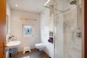 a bathroom with a shower and a toilet and a sink at Ferienwohnung Failte in Niederselters