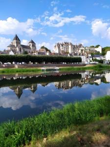 a view of a river with buildings in the background at Chambres D'hôtes Au Gré Du Temps in Saint-Aignan