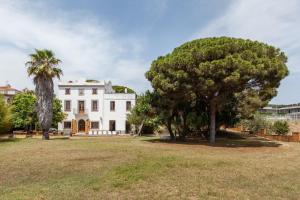 a large white house with a tree in the yard at Masia Sant Miquel in Canet de Mar