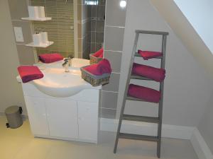 a bathroom with a sink and a towel ladder at Chambres D'hôtes Au Gré Du Temps in Saint-Aignan
