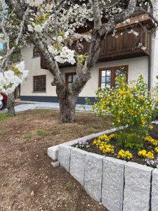 a tree in a flower bed in front of a house at Schwarzwaldnest Dachsberg in Wilfingen