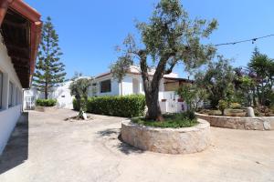 a house with a tree in the middle of a driveway at Casa Primus Torre Santo Stefano in Otranto