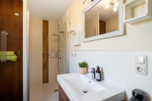 a bathroom with a sink and a mirror and a shower at Ferienhäuser Hainichhöhe in Hörselberg-Hainich +14 photos