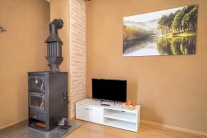 a living room with a stove and a flat screen tv at Ferienwohnung Lang in Kressbronn am Bodensee
