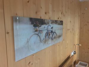 Rattasõit majutusasutuse Ferienwohnung Mountaintop aladel või selle läheduses