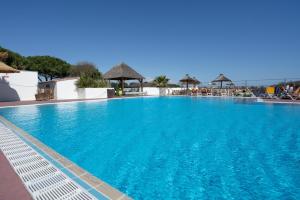 a large blue swimming pool with chairs and umbrellas at Mobilhome 373 in Lattes