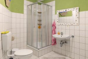 a bathroom with a shower and a toilet and a sink at Haus Mari in Gommern +21 photos