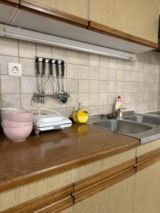 a kitchen counter with a sink and a mixer at Hideaway Kos in Loka pri Žusmu +16 photos