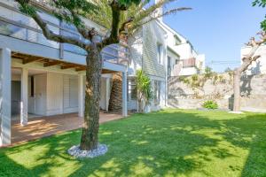a palm tree in a yard next to a building at La Maison de Port Lin in Le Croisic