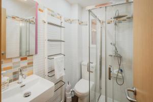 a bathroom with a shower and a toilet and a sink at Rodrigo in Palencia +19 photos