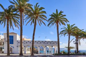 a group of palm trees in front of a building at Apartamento Fernandita in Nerja