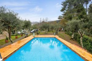 a swimming pool in a yard with trees at Casa Collicello relax in Camaiore