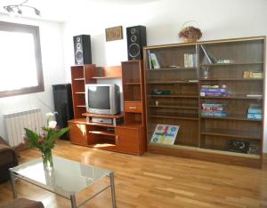 ein Wohnzimmer mit Fernseher und Bücherregalen in der Unterkunft Ultzama in Iráizoz