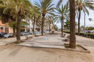 a park with palm trees and benches on a street at Sant Pere in Mataró