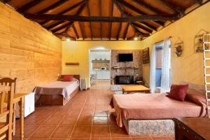 a large room with two beds and a fireplace at Casa Azul del Roque Negro in Santa Cruz de Tenerife