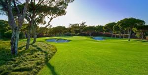 a golf course with two holes in the grass at le Nid perché in Brou