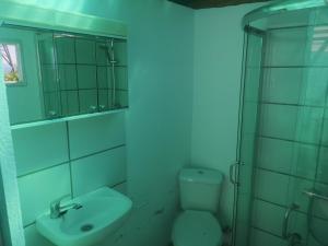 a bathroom with a toilet and a sink and a mirror at Roca Caravan in Estepona +20 photos