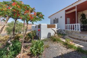a house with a tree in front of it at Casa Suárez in Tuineje
