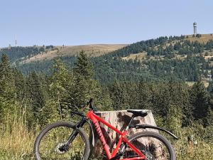 a red bike parked on a wooden bench at Kopf Frei auf 1000 Meter Wohnung 1 in Feldberg