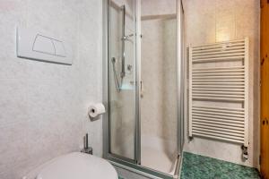 a bathroom with a shower with a toilet in it at Lindenhof Apt 3 in Vandoies