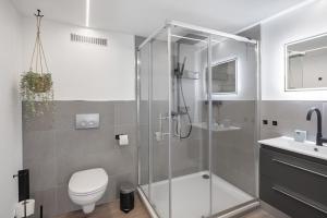 a bathroom with a shower and a toilet and a sink at Fewo Goldbach in Eschwege +15 photos