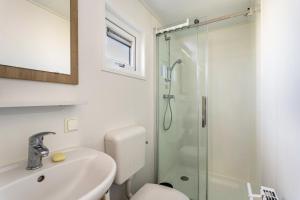 a bathroom with a shower and a toilet and a sink at Chalet 91 in Brilon +12 photos