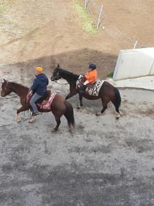 two people riding horses on a dirt track at Ladinser Hof Western Suite in Castelrotto