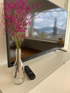a vase with flowers in it next to a remote control at Lichtblick unter der Buche in Titisee-Neustadt