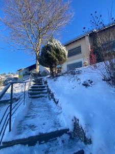 a set of stairs in the snow in front of a house at Lichtblick unter der Buche in Titisee-Neustadt