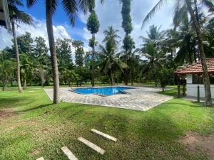 a swimming pool in a yard with palm trees at Villa Di Angelo Negombo in Negombo