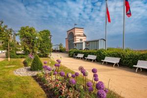 a park with benches and purple flowers and flags at Bungalow "Giny" in Bansin