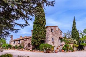 a large stone house with a large tree at Masia Mimosa Jardin in Darnius
