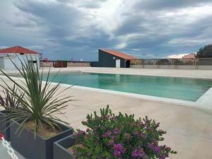 a swimming pool with some plants and flowers at Chez Colette du haut in Le Barcarès