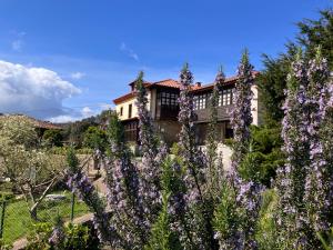 a garden with purple flowers in front of a house at Hotel Finca Los Venancios in Bones