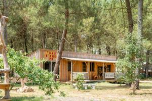 a cabin in the woods with trees at L'Escale du Dernier Pin in Escalans