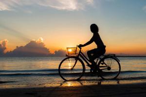 a person riding a bike on the beach at sunset at FeWo Am Pier 7a in Loddin