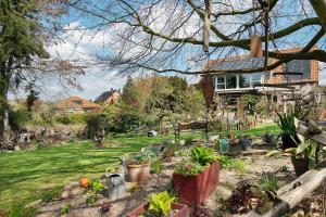 a garden with potted plants in front of a house at Wintergarten Am Thingplatz in Rinteln
