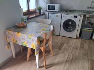 a kitchen with a table and a washing machine at Casa Elena in Cangas de Onís