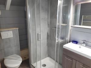 a bathroom with a shower and a toilet and a sink at Chalet Du Saix - Sauna in La Chapelle-dʼAbondance